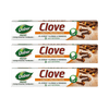 Dabur Herb'l Clove Toothpaste (Pack of 3)