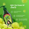 Dabur Amla Hair Oil