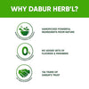 Dabur Herb'l Tulsi Toothpaste (Pack of 3)