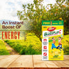 Dabur GlucoPlus-C Lemon with Free Sipper