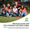 Dabur Sat Isabgol (Brown)
