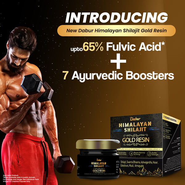 Dabur Himalayan Shilajit Gold Resin