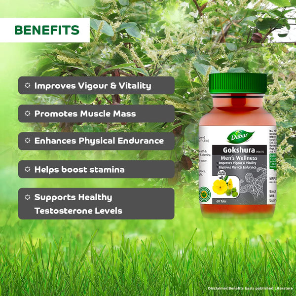 Dabur Gokshura Tablets