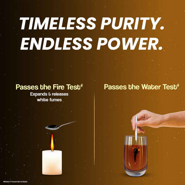 Dabur Himalayan Shilajit Gold Resin