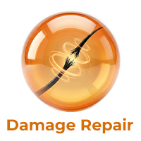 Damage Repair