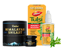Ayurvedic Wellness