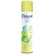550ml