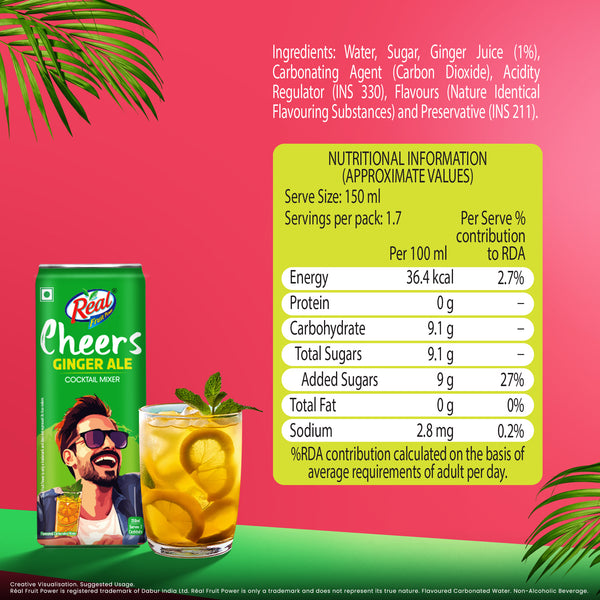 Real Cheers Ginger Ale 250ml
