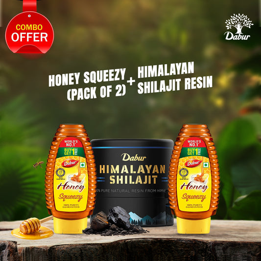 Dabur Himalayan Shilajit Resin 15g + Honey Squeezy 400g – Ayurvedic Energy Combo