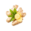 Icon Alt